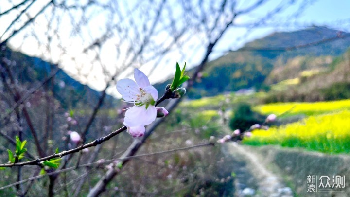 梅岭印象4，访千年古村牛岭，享梯田油菜花谷_新浪众测