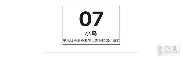 焦虑彷徨时,还好绘本接住了我:写给疫情下你我_新浪众测