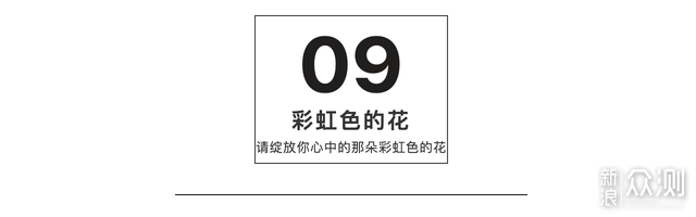 焦虑彷徨时,还好绘本接住了我:写给疫情下你我_新浪众测