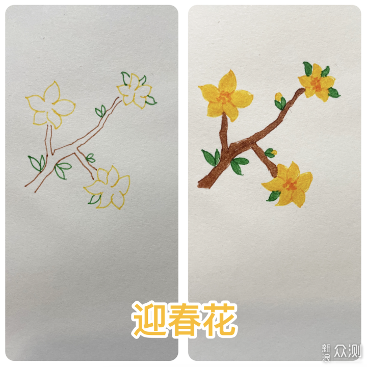 一学就会的花草简笔画，亲子手帐一起来吧！_新浪众测