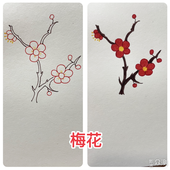 一学就会的花草简笔画，亲子手帐一起来吧！_新浪众测