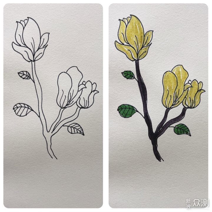 一学就会的花草简笔画