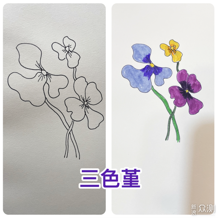 一学就会的花草简笔画，亲子手帐一起来吧！_新浪众测