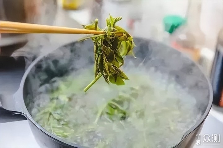 春天里的美味，香椿花式吃法不完全推荐！_新浪众测