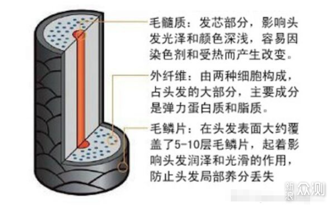 谁也不想秃啊！保养防脱这里看_新浪众测