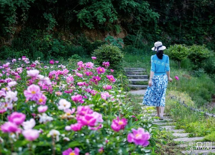 暮春花开，女摄影师镜头里的诗意和美好_新浪众测