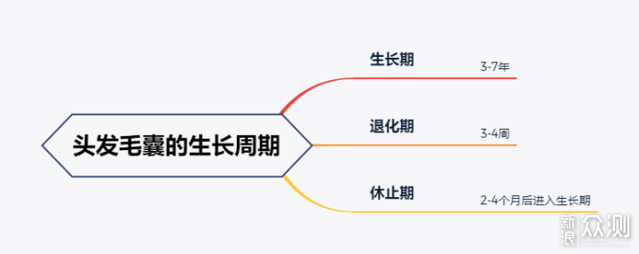 打赢防脱生发的战争，我们有必要了解一下这些_新浪众测