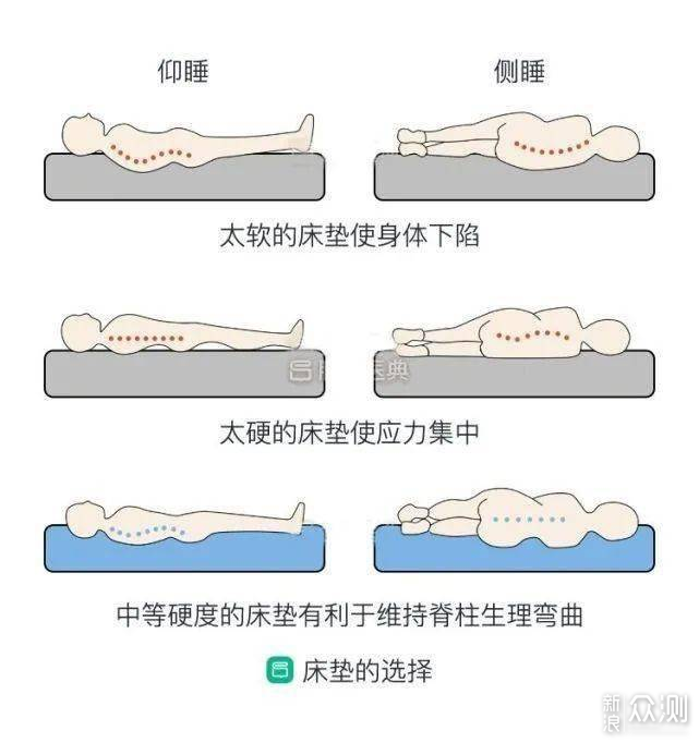 睡觉平躺腰部悬空图片图片