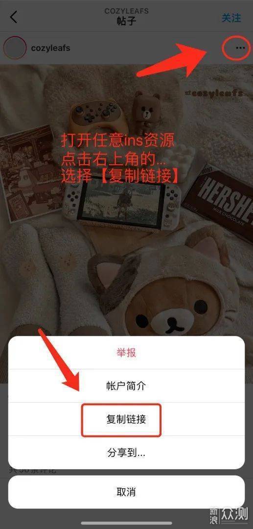 如何保存ins原图？分享3种ins存图方法_新浪众测