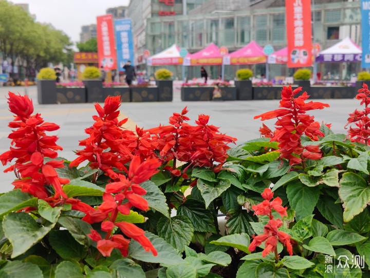 又到了填报志愿的季节，国内5大最美大学校园_新浪众测