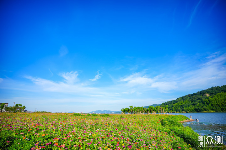 江浙沪皖游古镇、花海、小