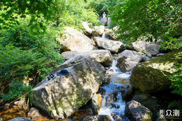 江浙沪皖游古镇、花海、小