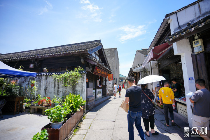 江浙沪皖游古镇、花海、小