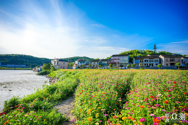 江浙沪皖游古镇、花海、小