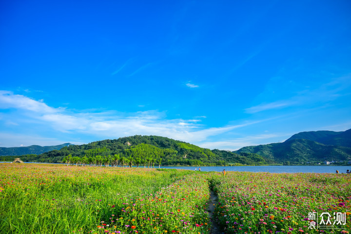 江浙沪皖游古镇、花海、小