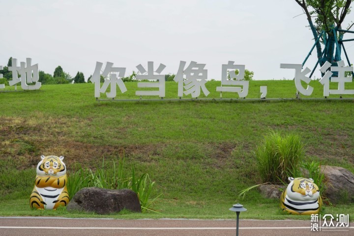 解锁千岛湖旅游的100种玩法 走进人间仙境_新浪众测