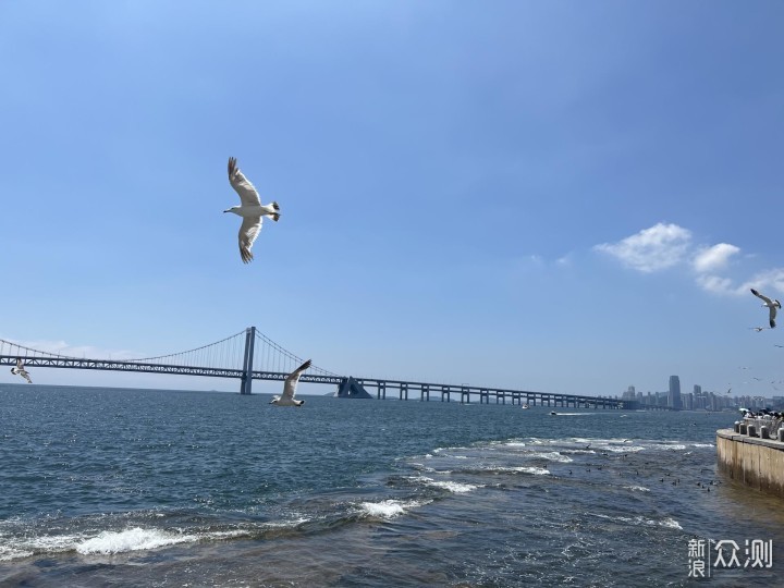 一家五口七天「沈阳·大连自驾游」追忆之旅_新浪众测