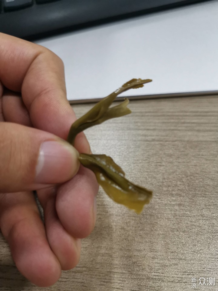 试饮昔归普洱(生/熟茶) 初识既欢喜 _新浪众测