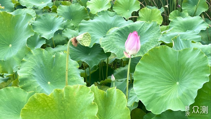 梅岭印象6，醉美虹河谷，一处有彩虹的山谷_新浪众测