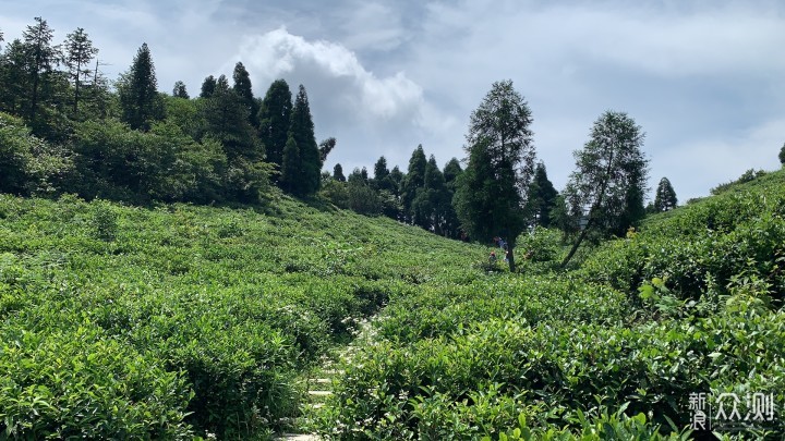 梅岭印象6，醉美虹河谷，一处有彩虹的山谷_新浪众测