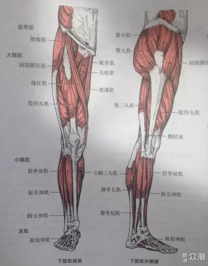 用哑铃练成彭于晏！搏飞哑铃一周四练计划详解_新浪众测