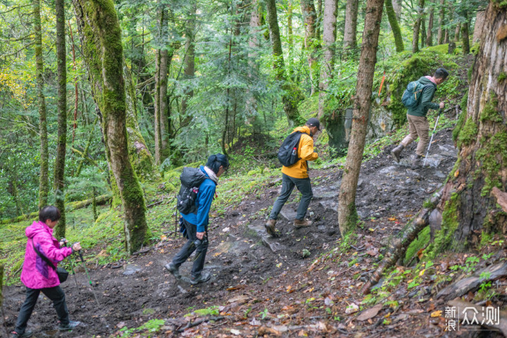 迪庆雨崩登山，香格里拉徒步，丽江古城摆烂_新浪众测