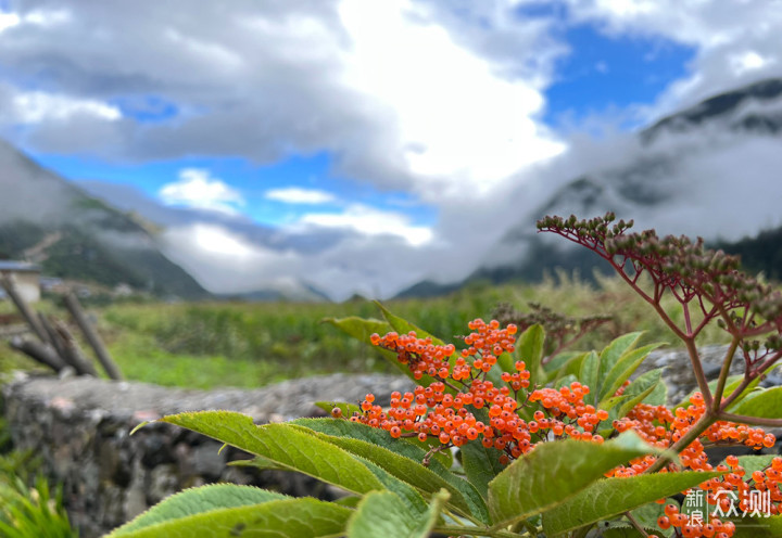 迪庆雨崩登山，香格里拉徒步，丽江古城摆烂_新浪众测