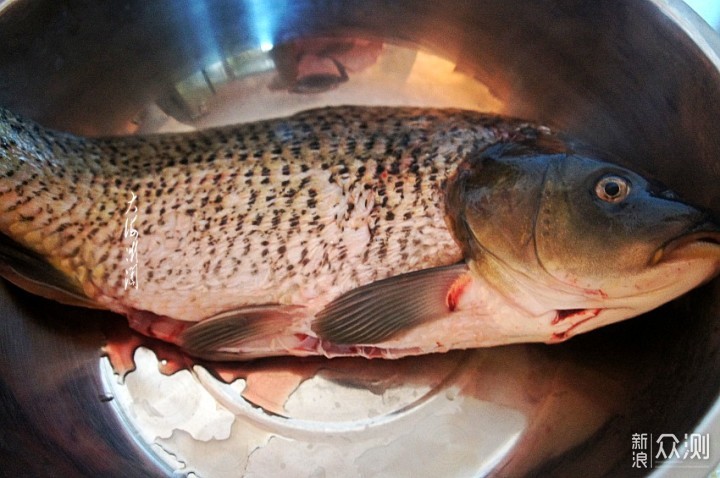 立冬前后，建议中老年人多吃4种高蛋白食物_新浪众测