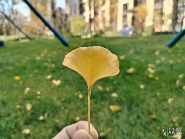 荣耀X40深度测评,旗舰机颜值,千元机配置!_新浪众测