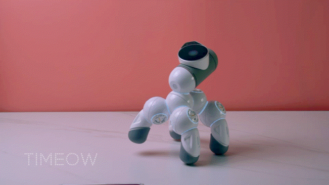 我抢了孩子的玩具 超级好玩可立宝智能机器人_新浪众测