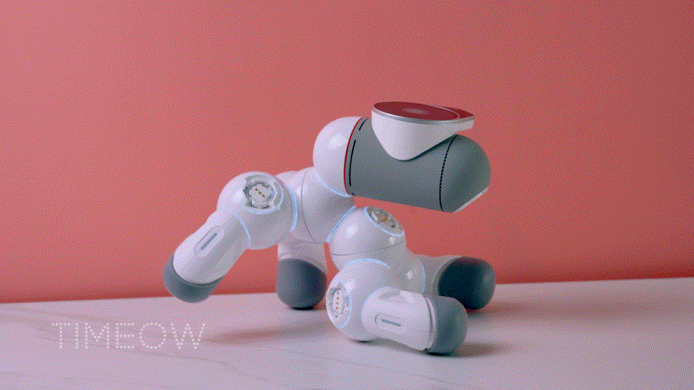 我抢了孩子的玩具 超级好玩可立宝智能机器人_新浪众测