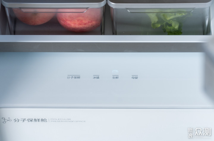 今年双11最值得入手的冰箱—TCL格物冰箱 Q10_新浪众测