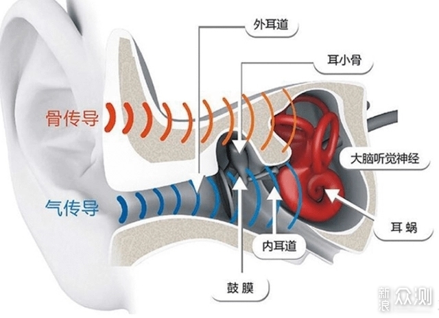 为运动而声，小米（MI）首款真骨传导耳机测评_新浪众测