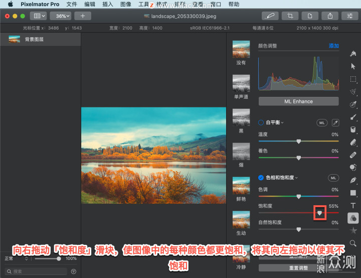 Pixelmator Pro 教程：如何调整图像饱和度？_新浪众测