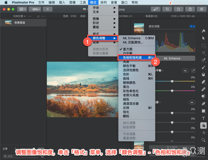 Pixelmator Pro 教程：如何调整图像饱和度？_新浪众测