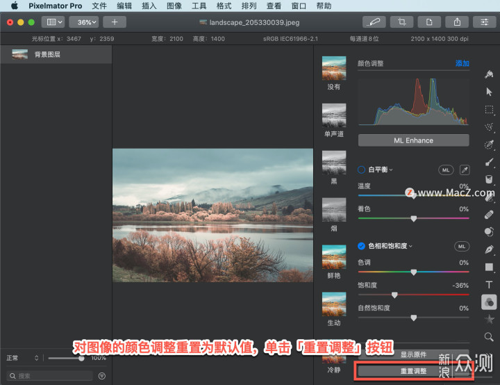 Pixelmator Pro 教程：如何调整图像饱和度？_新浪众测