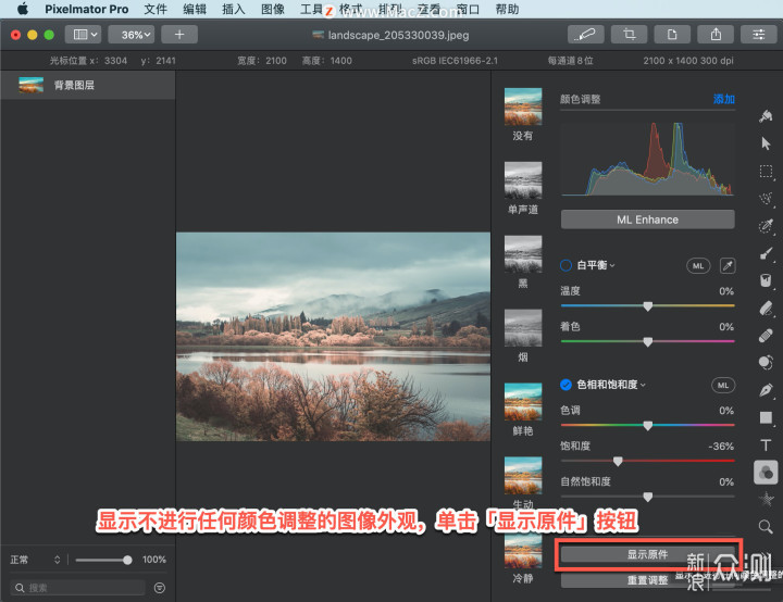 Pixelmator Pro 教程：如何调整图像饱和度？_新浪众测