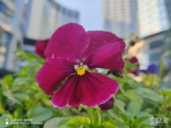 荣耀80GT：双芯+超级散热，带来流畅游戏体验_新浪众测