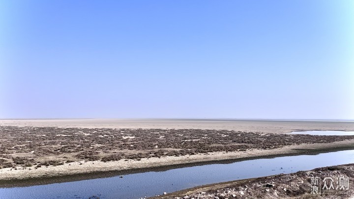 离白鹤最近的地方，南昌鲤鱼洲白鹤小镇打卡_新浪众测