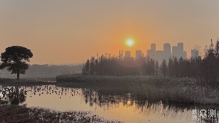 离白鹤最近的地方，南昌鲤鱼洲白鹤小镇打卡_新浪众测