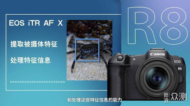 EOS R8 发布，佳能版 A7C 来了_新浪众测