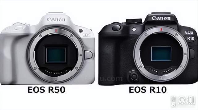 EOS R8 发布，佳能版 A7C 来了_新浪众测