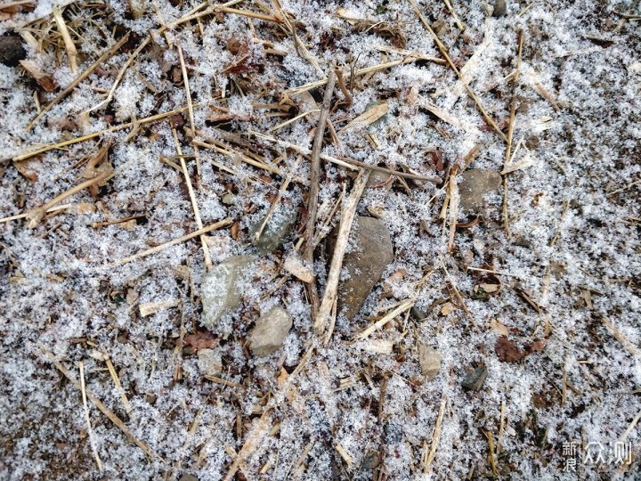 有一说二：对立春后北京小雪的手机随拍记录_新浪众测