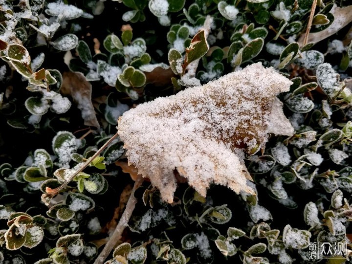 有一说二：对立春后北京小雪的手机随拍记录_新浪众测