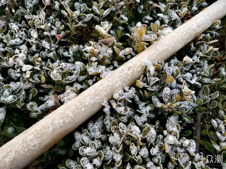 有一说二：对立春后北京小雪的手机随拍记录_新浪众测