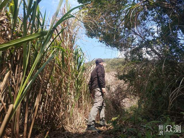 硬核科技，畅享机能潮流：天越徒步鞋_新浪众测