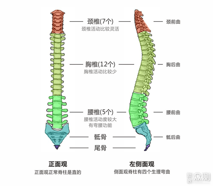 不同档次人体工学椅到底有什么不一样？_新浪众测