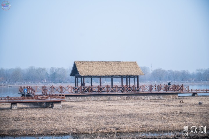 北京郊区4A旅游景区自驾露营，移族P1000S电源_新浪众测