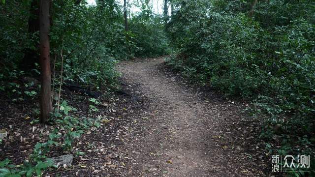 天越全防水户外跑鞋：给你翻山越岭的安全感_新浪众测