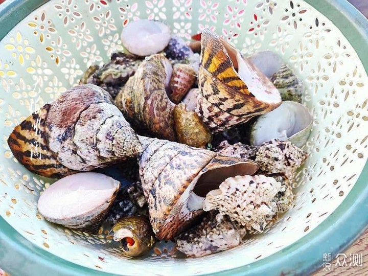 晒西沙银屿岛上海鲜盛宴，第一次吃那叫一个鲜_新浪众测